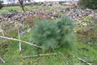 ammena-26-02-2023 14-19-32